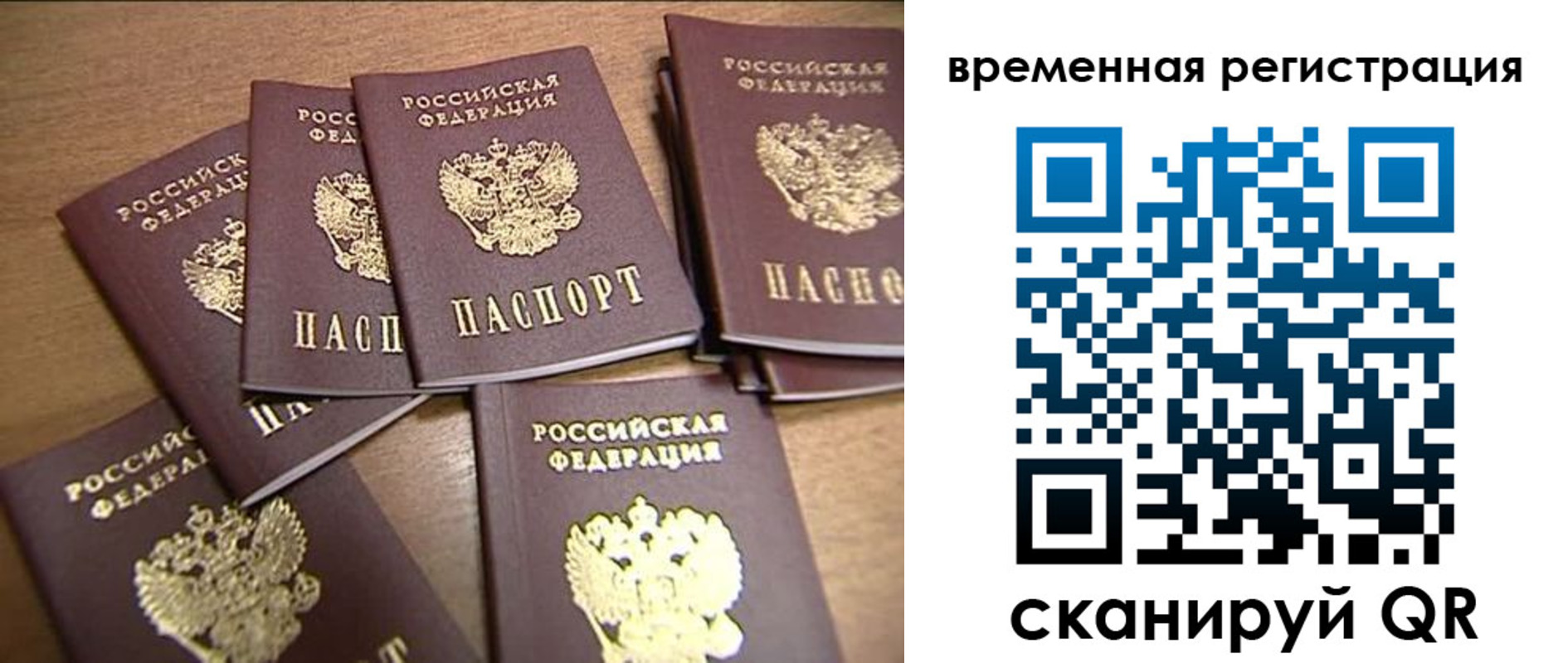 прописка ребенка в Лыткарино